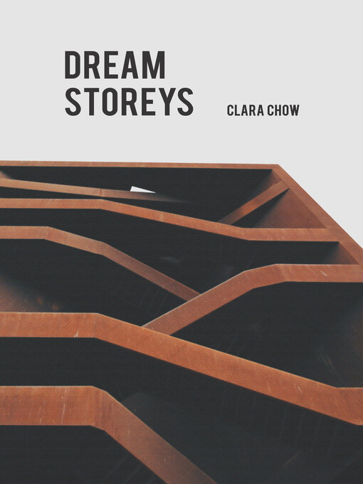 Cover image for Dream Storeys